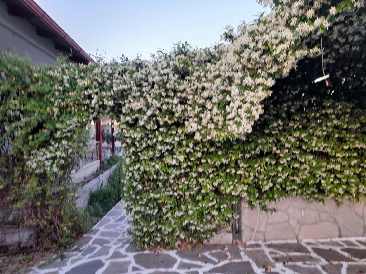 House - In Aridaia-loutra Pozar